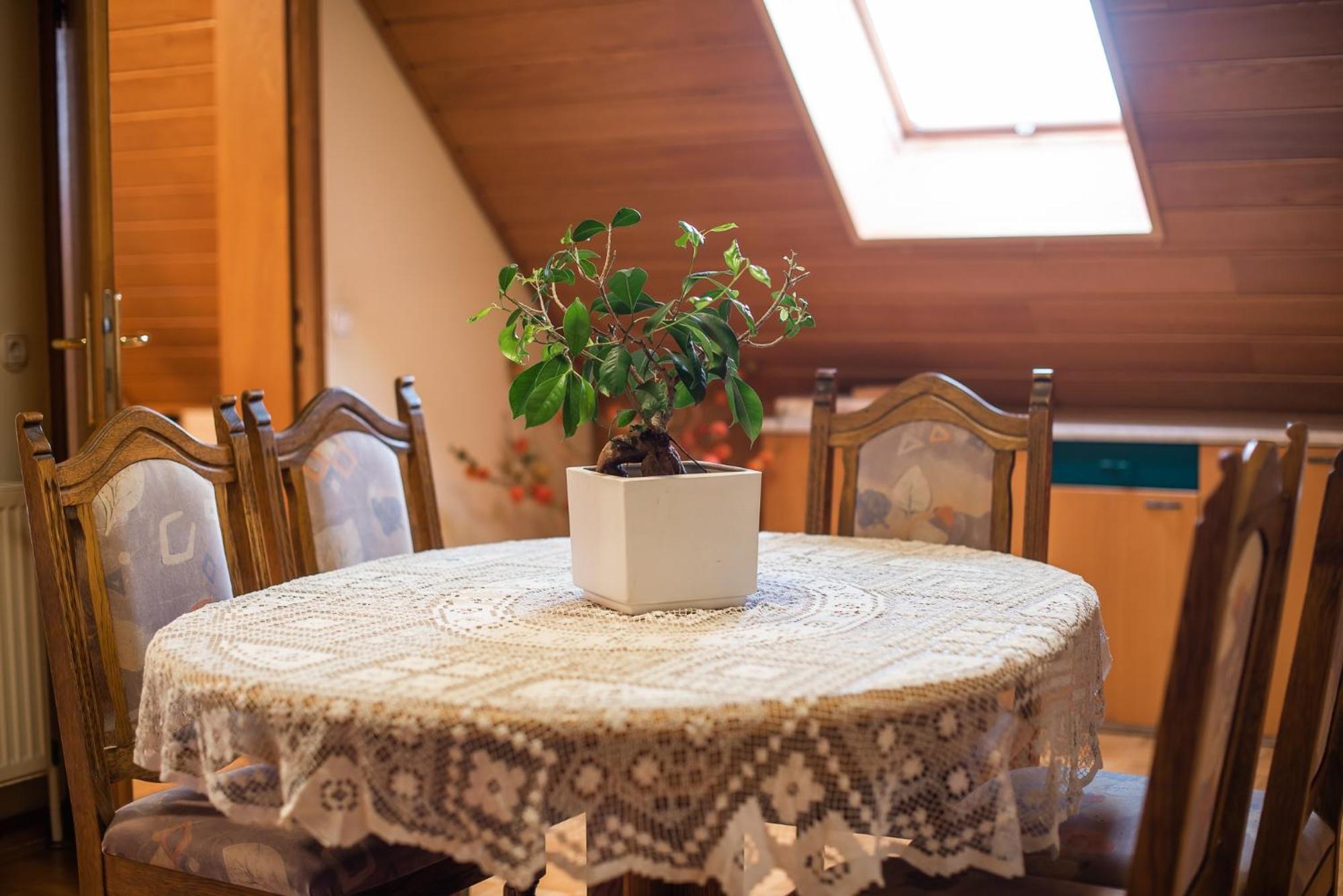 Apartment Tina With Seasonal Pool Podsreda Стая снимка